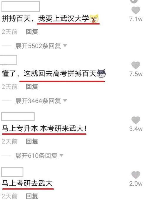 武汉大学最新爆料视频,校园生活新篇章  第1张